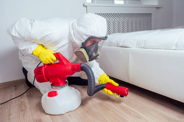 Best Affordable Pest Control Services  in Creighton, NE