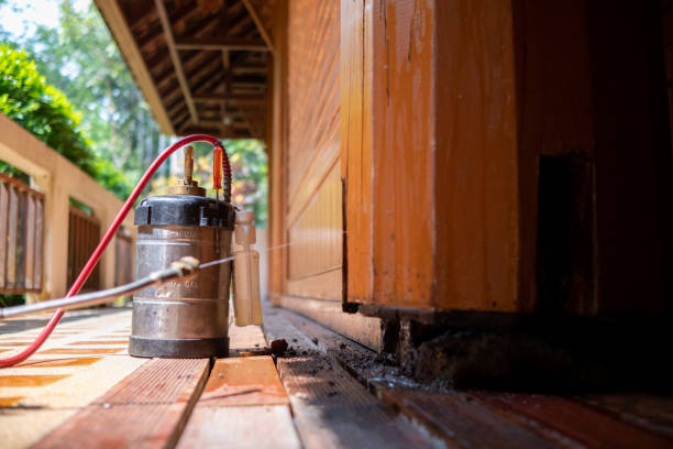 Best Pest Control for Restaurants  in Creighton, NE