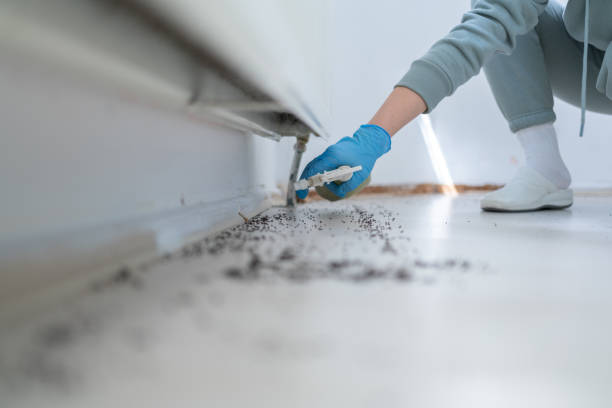 Pest Control for Restaurants in Creighton, NE